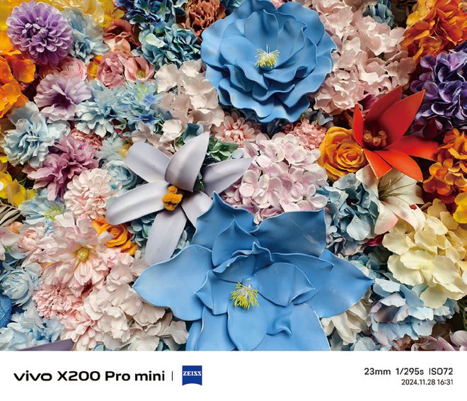 vivo X200 Pro mini评测CQ9电子游戏631英寸的小屏巨匠——(图13)